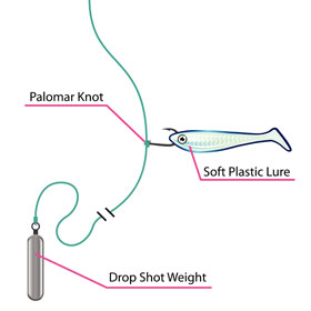 Learn how to tie a Palomar knot