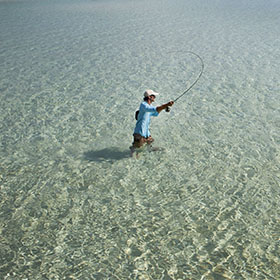 Interested in Saltwater Fly Fishing? Here’s An Overview